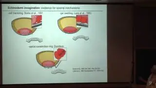 Developmental Biology II