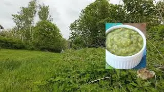 Stinging Nettles, Fish & chips and more..