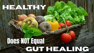 Why a &ldquo;Healthy&rdquo; Diet Can Still Damage the Gut (Protein & Gut Repair Explained)