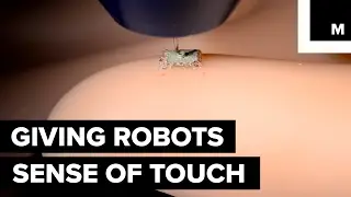 3D printed 'Bionic skin'