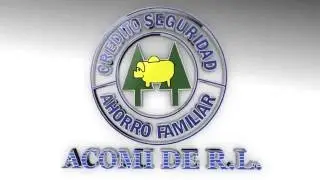 INSTITUCIONAL ACOMI 2016