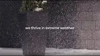 All-Weather Proof