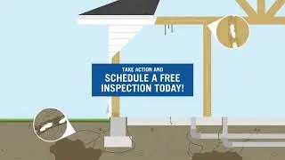 How Termites Enter Your House | ACTION Termite & Pest Control
