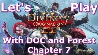 Divinity: Original Sin 2 - Definitive Edition | Part 7