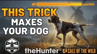 Как быстро повысить уровень вашей собаки-пойнтера в The Hunter: Call of the Wild!