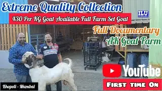 Extreme Quality Collection Full Documentary || First Time On YouTube AK Goat Farm Khopoli Mumbai ||