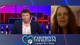GBnews Pawprints To Freedom TV Interview - Dog Of The Week