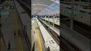 Two 17-carriage intelligent Fuxing CR400BF-BS and CR400AF-BS high-speed trains meet at Xuzhou East