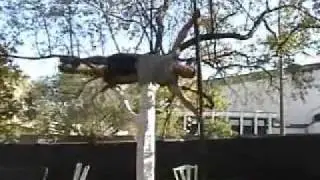 Dominic Lacasse - Best of free run 06