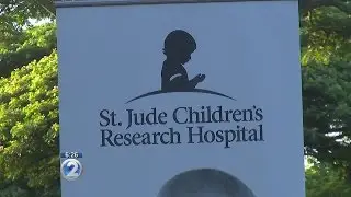 Charity walk helps raise funds for cancer research