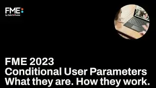 FME 2023: User Parameters In Mint Condition in FME Form and Flow.