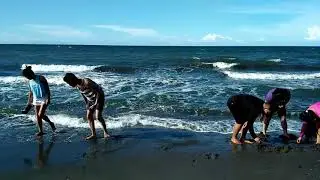 Swimming Time at Ochando