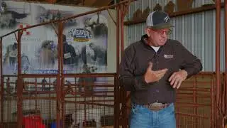 Live & Local Purina Ambassador Series - Mike Harbour