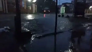 ASMR captures the nocturnal charm of a remote village with heavy rain and distant thunder sounds.