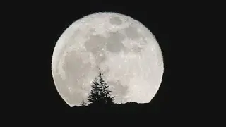 Supermoon, blue moon and lunar eclipse come January 31