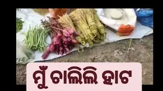 Asa buli jiba hato ||weekly market||#tranding #odiavlog #vlog #marketing @shainysubhgallery 