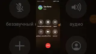 Мне Звонят Три Кота