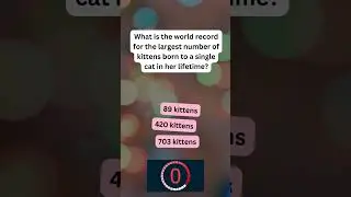 🐾 Can You Guess? Fun Cat Facts Challenge! 🤔 | Test Your Feline Knowledge!
