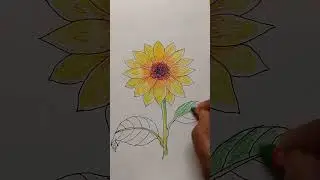 How to draw a sunflower  easy drawing step by step easy way for Beginners#flowers#sunflower