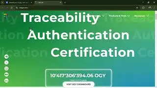 What is Major Frog (MAJOR) Token Coin | Review About MAJOR Token
