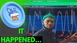 TOSHI CRYPTO - The COURSE of HISTORY Just CHANGED.....