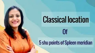 Location of Classical point on body: 5 Shu points of Spleen Meridian