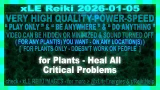 xLE Reiki | for Plants - Heal All Critical Problems