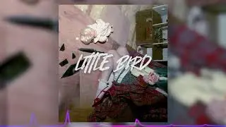 Exit 18 - Little Bird (Official Audio)