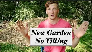New GARDEN | NO TILLING - cardboard and mulch day