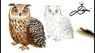 🦉 Uhu zeichnen lernen 🦉 How To Draw An Eagle Owl For Kids 🦉 как се рисува бухал 🦉 Hibou 👍🏻 Búh