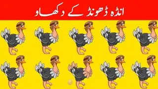 New Mind Puzzles And Mix Riddles in Urdu That'll Make Your Brain Sweat 😰 | Game Show | The Truth