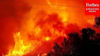 Climate Change Could Drive Wildfire Risk Up 50% By End Of Century, UN Warns