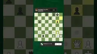 Perpetual Check