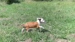 ЗАХ Май Хат Витх Ю