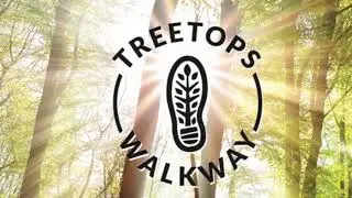 The Treetop Walk Experience at Groombridge Place