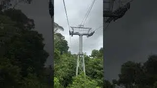 The Oldest and Longest Skyrail Rainforest Cable Car In The World