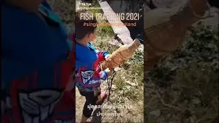 DADDY & TJ SRIPUMDERM 2021 Casting Cambodian / Thai Traditional Fish Trap
