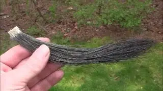 How to remove a turkey beard.