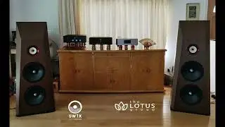 SW1X LPU III Balanced Phono Stage,SW1X PRE III Special Preamplifier - Electrified, Yello