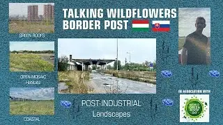 Talking POST-INDUSTRIAL , open-mosaic habitat  and green roofs. A old border post between HUN & SK