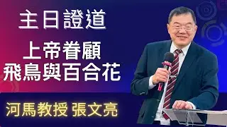上帝眷顧飛鳥與百合花(河馬教授-張文亮 主日證道2026.01.18台北基督徒教會)
