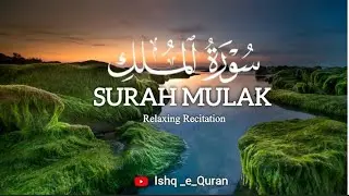 Surah Al-Mulk Complete |Protection from Punishment of the Grave#quranrecitation #qurantilawat#shorts