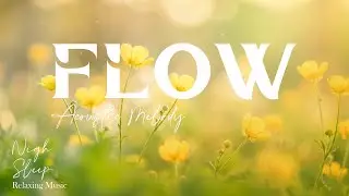 Soothing Acoustic Melodies 🍂🍁🏵️Piano and Guitar for Better Sleep and Meditation