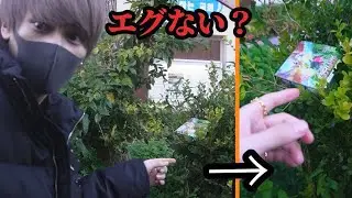 草むらに高額BOX落ちてたので勝手に開封して30万のポケカぶち抜こうとするダイキ様の日常