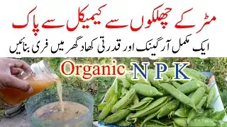 How to make organic fertilizer at home|Homemade organic fertilizer for all plant|Desi khad for plant