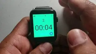 LEM10 