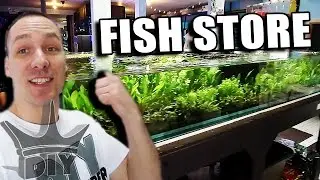 MY LOCAL AQUARIUM FISH STORE TOUR - UPDATE