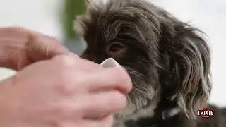 Say Goodbye to Pet Eye Gunk with Trixie Eye Care Wipes! Click to Watch!