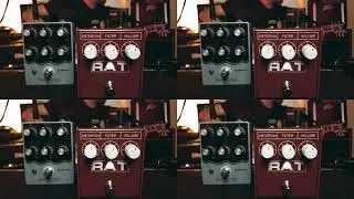Earthquaker Devices Sea Machine & Proco Rat Ikebe