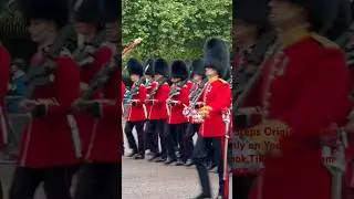 Wow.. Over 1400 parading soldiers - Trooping the Colour - Colonel's Review #kingsguard #londonwalk